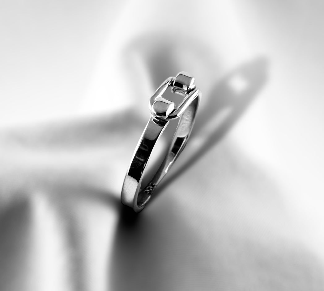 Belt Ring - agsb contemporary jewellery