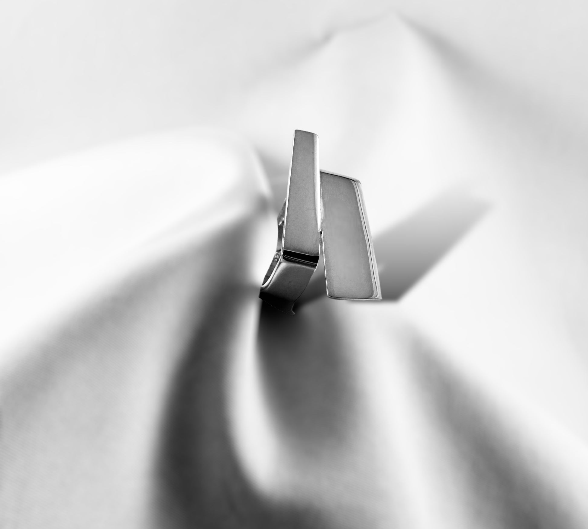 Opposite Ring - agsb contemporary jewellery