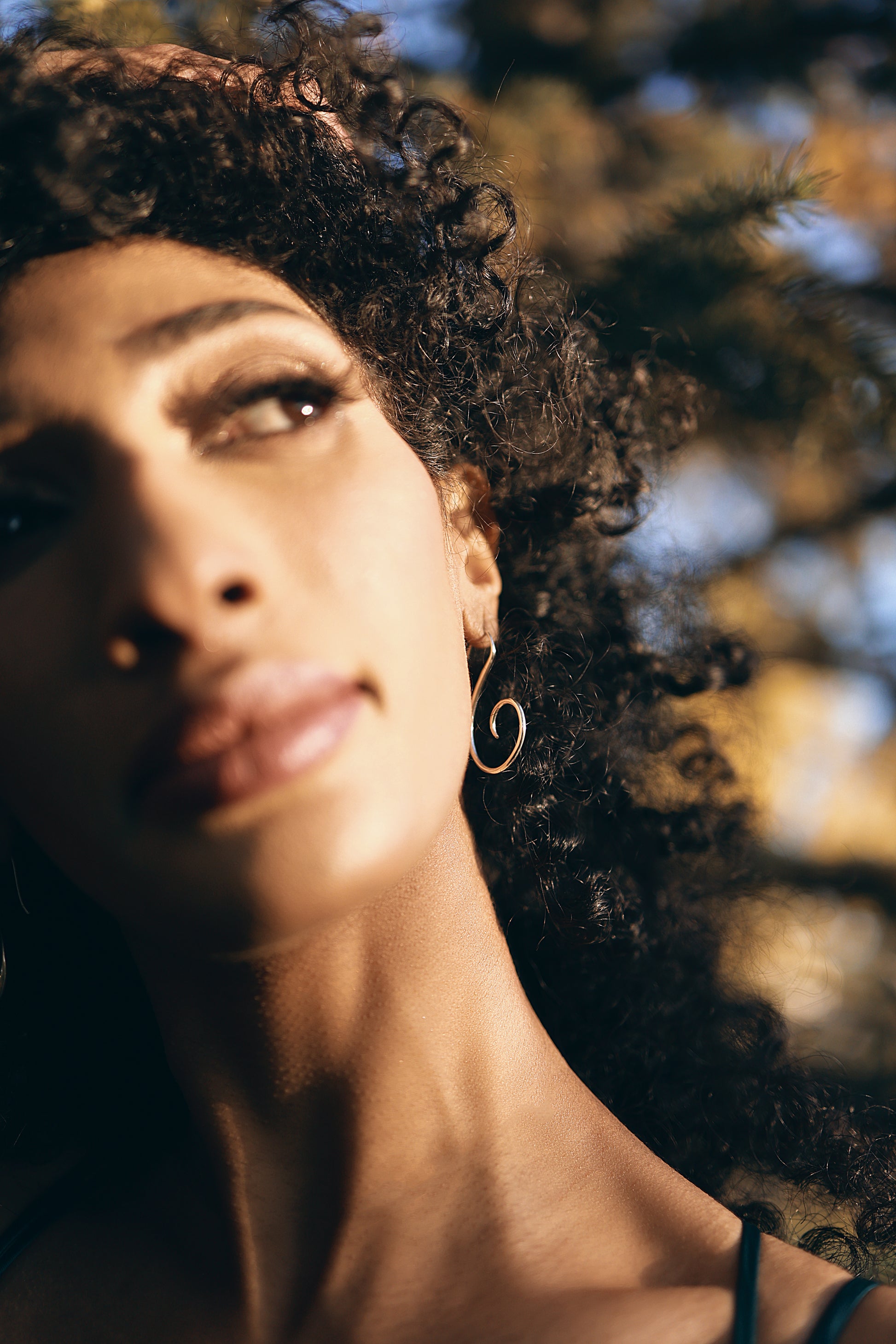 Swan - agsb contemporary jewellery