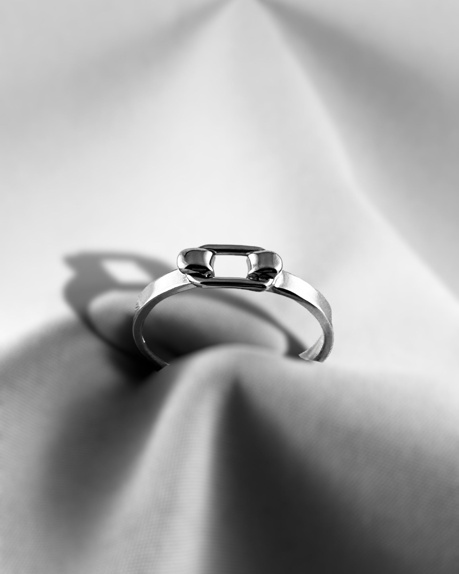Belt Ring - agsb contemporary jewellery